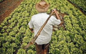Homem e mulher do campo também precisam cuidar da saúde