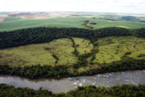 O impacto da flexibilização das regras de licenciamento ambiental no agro