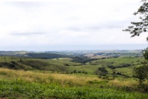 Com valorização da produção, preço das terras agrícolas sobe no Paraná