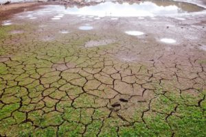 Crise hídrica provoca situação de emergência