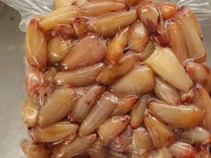 Pinhão descascado e embalado à vácuo? Temos!