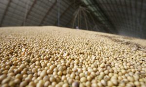 USDA deve indicar safra 2021/22 de soja dos EUA acima da anterior