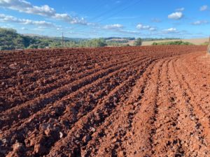 Reforma de terraços ajuda a controlar erosões