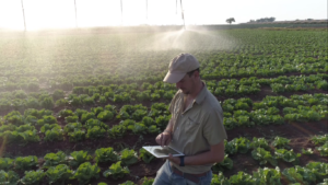 Conectividade é desafio gigantesco para o agro, afirma presidente da Embrapa