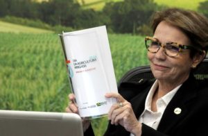 Brasil pode ampliar potencial de agricultura irrigada