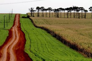 Agências colocam agronegócio regional em roteiro turístico mundial
