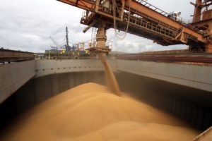 USDA: embarques semanais de soja e milho ficam abaixo do esperado