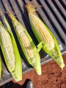 Clima afeta culturas de segunda safra e produção deve cair