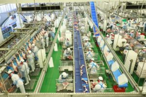 Paraná responde por ¼ de toda a carne produzida no primeiro trimestre no País