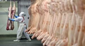 Carnes: Paraná mira os mercados coreano e japonês