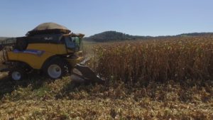 Colheita da safrinha de milho em Mato Grosso atinge 1,94% da área