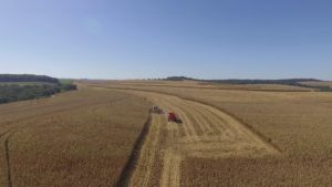 Valor da Produção Agropecuária de 2021 deve registrar aumento real de 11,8%