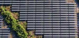 ‘Tuitasso’ mobiliza redes sociais pelo Marco Legal da Energia Solar