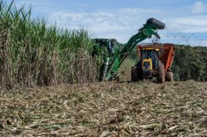 Usinas de cana podem gerar mais energia e amenizar efeitos da crise hídrica