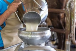 Preços mínimos para a safra de verão e produtos regionais têm reajuste