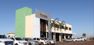 Diversificar para crescer. Primato completa 24 anos