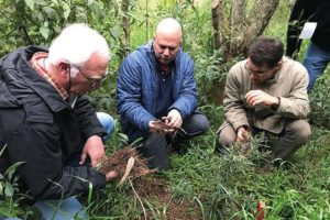 SENAR-PR lança curso sobre formação de florestas em áreas de preservação