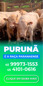 Banner Purunã – Lateral