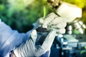 Bioinsumos já cobrem 25% das lavouras do Brasil