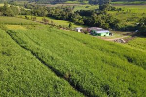 Coopera Paraná prorroga prazo para apresentação de propostas