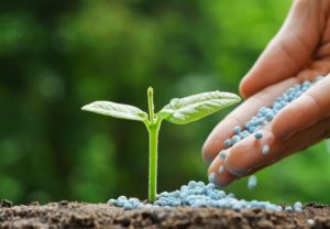 Brasil continua a busca por novos fornecedores de fertilizantes