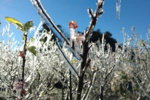 VOCÊ VIU ISSO? Onda de frio a caminho será a mais severa dos últimos 66 anos