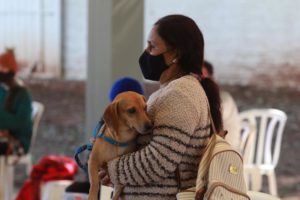 Programa estadual de castração de animais chega a Formosa do Oeste