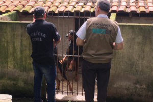 Aumenta denúncias de maus-tratos contra animais domésticos no PR