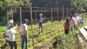 ORGÂNICOS: Paraná é líder em produtores certificados
