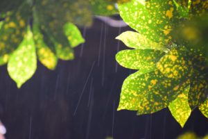 Mês de julho será marcado por pouca chuva