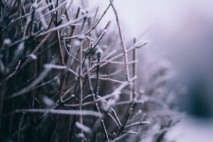 Vai nevar novamente na região sul?