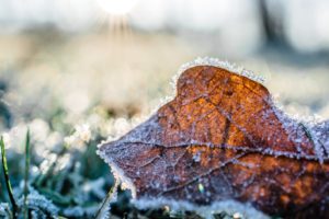 Meteorologista alerta para risco de geada nos próximos dias