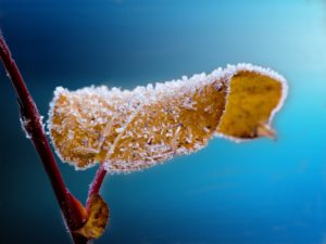 Mais frio intenso no início de Agosto?
