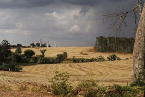 Prorrogada inscrição para residência técnica e curso de Economia Rural
