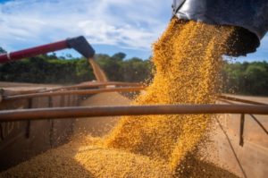 Mato Grosso projeta produção recorde de soja   