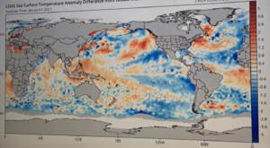 La Niña vem aí e deve trazer geada com potencial de danos para o Sul do Brasil
