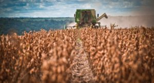 VBP estadual avança 154% em 10 anos   