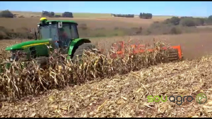 Produtor destrói lavouras de milho e trigo no Paraná