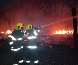 Incêndio destrói aviário e mata mais de 40 mil frangos
