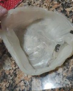 Sacola biodegradável produzida com mandioca se torna adubo