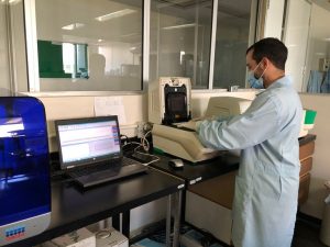 Governo diz ter método para diagnosticar Peste Suína Africana