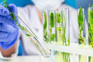 Agricultura em direção à era dos bioinsumos