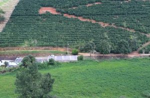Agricultura familiar: prazo para análise de financiamento é reduzido