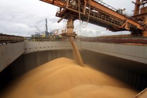 Paraná é o estado que mais importa milho