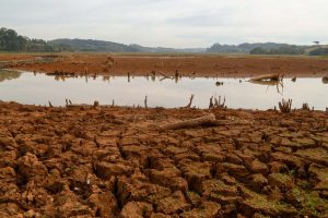 Seca vai reduzir arrecadação de municípios, diz AMP