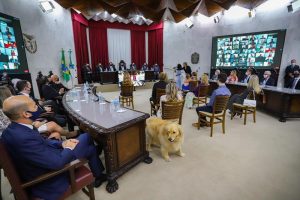 PETs com acesso liberado no Tribunal de Contas