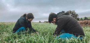 Fazenda Escola: Como aprender agronomia de forma prática
