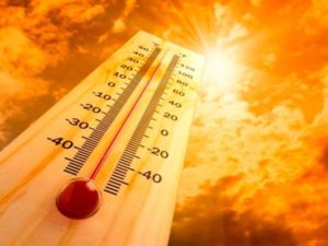 Sensação térmica beira os 50ºC em cidades no Paraná