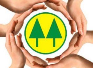 Cooperativas encerram 1º semestre com faturamento 38,3% maior