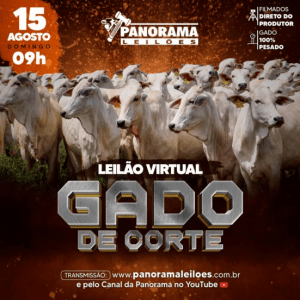 Veja como foi o leilão de gado de corte da Panorama Leilões